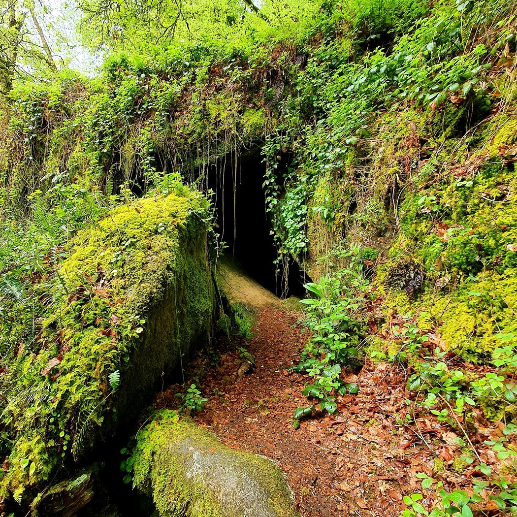 Toul-Goulic 1