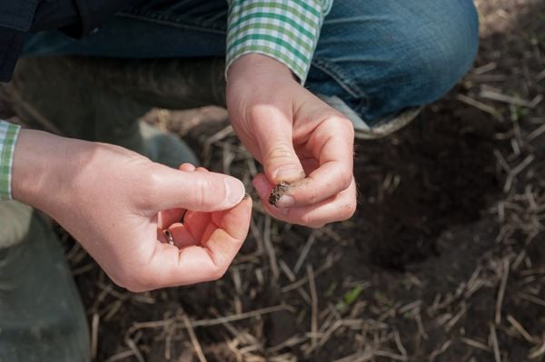 Seed Collection 101 3