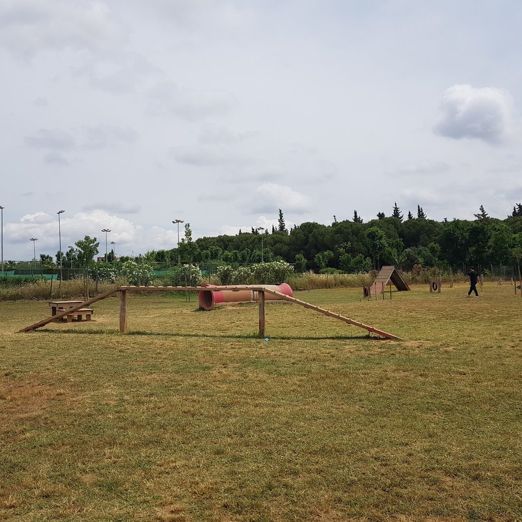 Parque De Perros 1