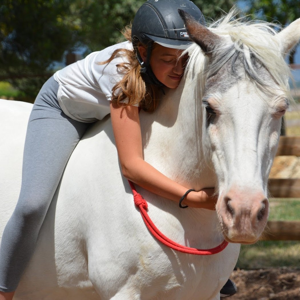 Lucky Horse Ranch 1