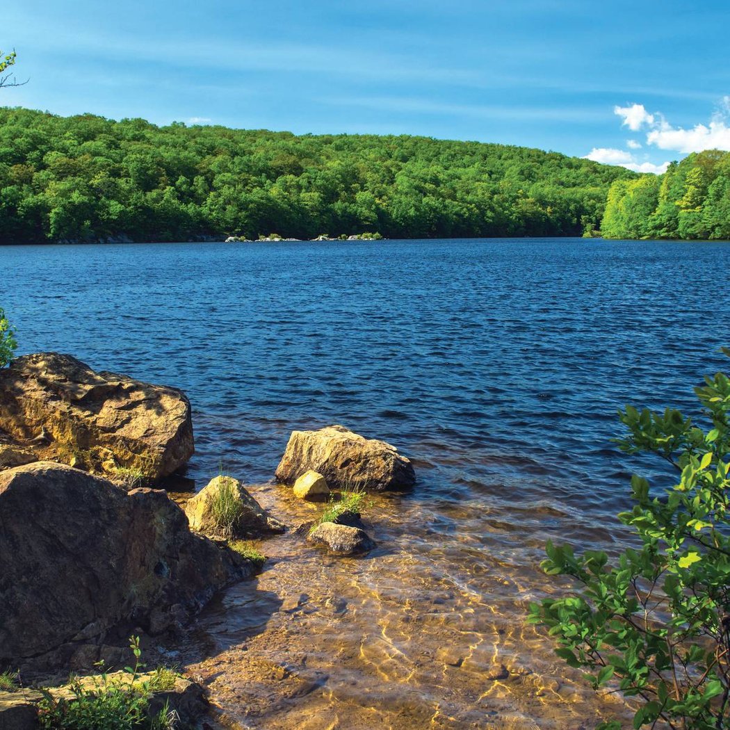 Rudd Pond Activities 1