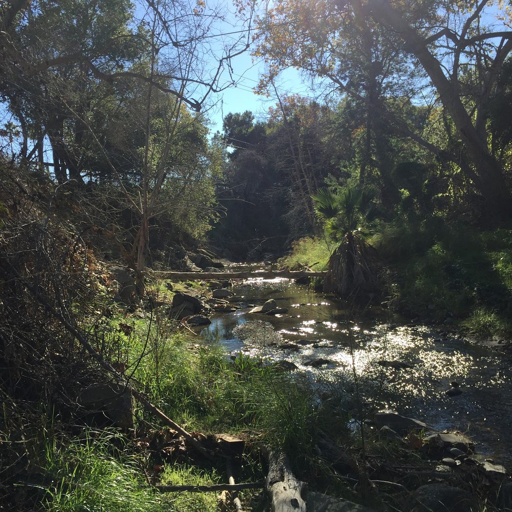 San Tomas Aquino/ Saratoga Creek Trail 3
