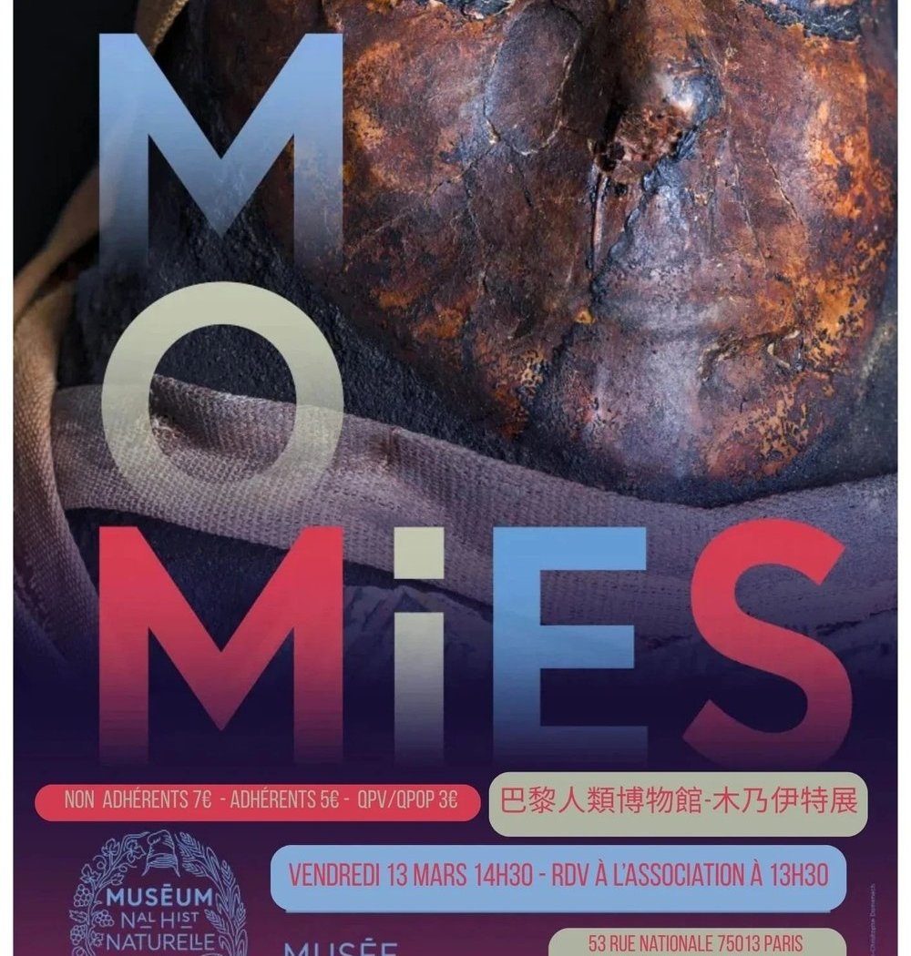 Visite guidée : Musée de l’Homme Momies 1