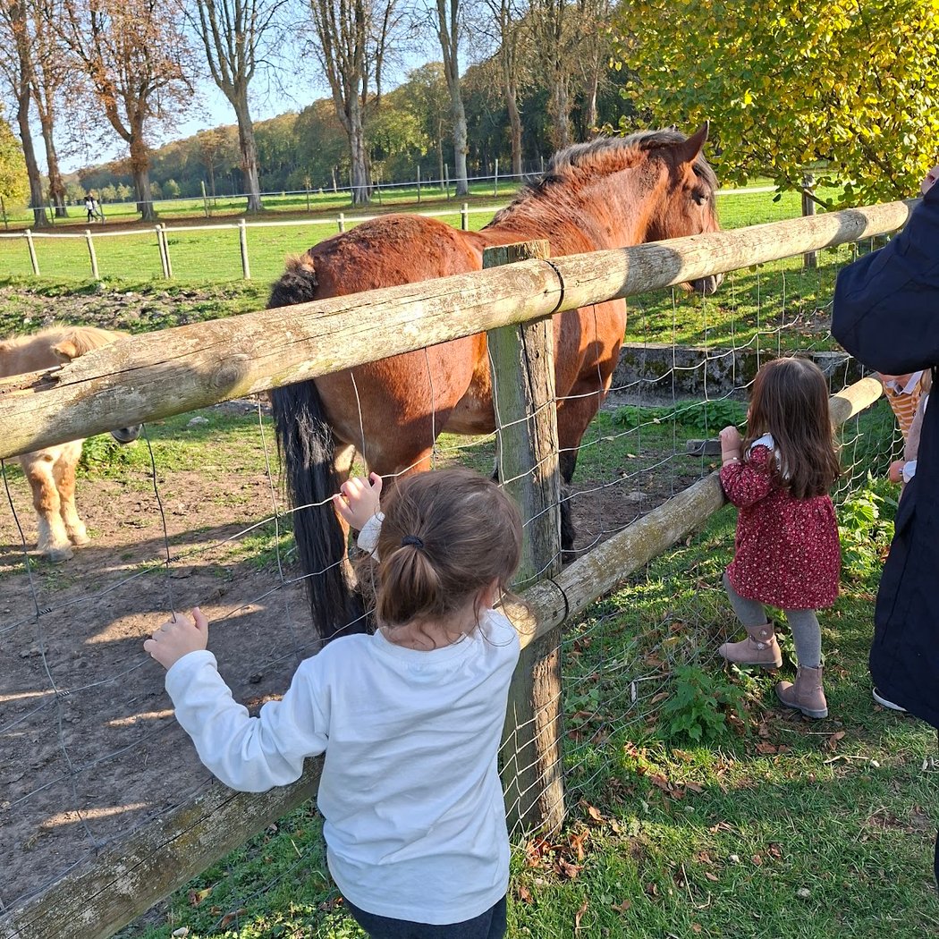 Atelier pain et animaux 1