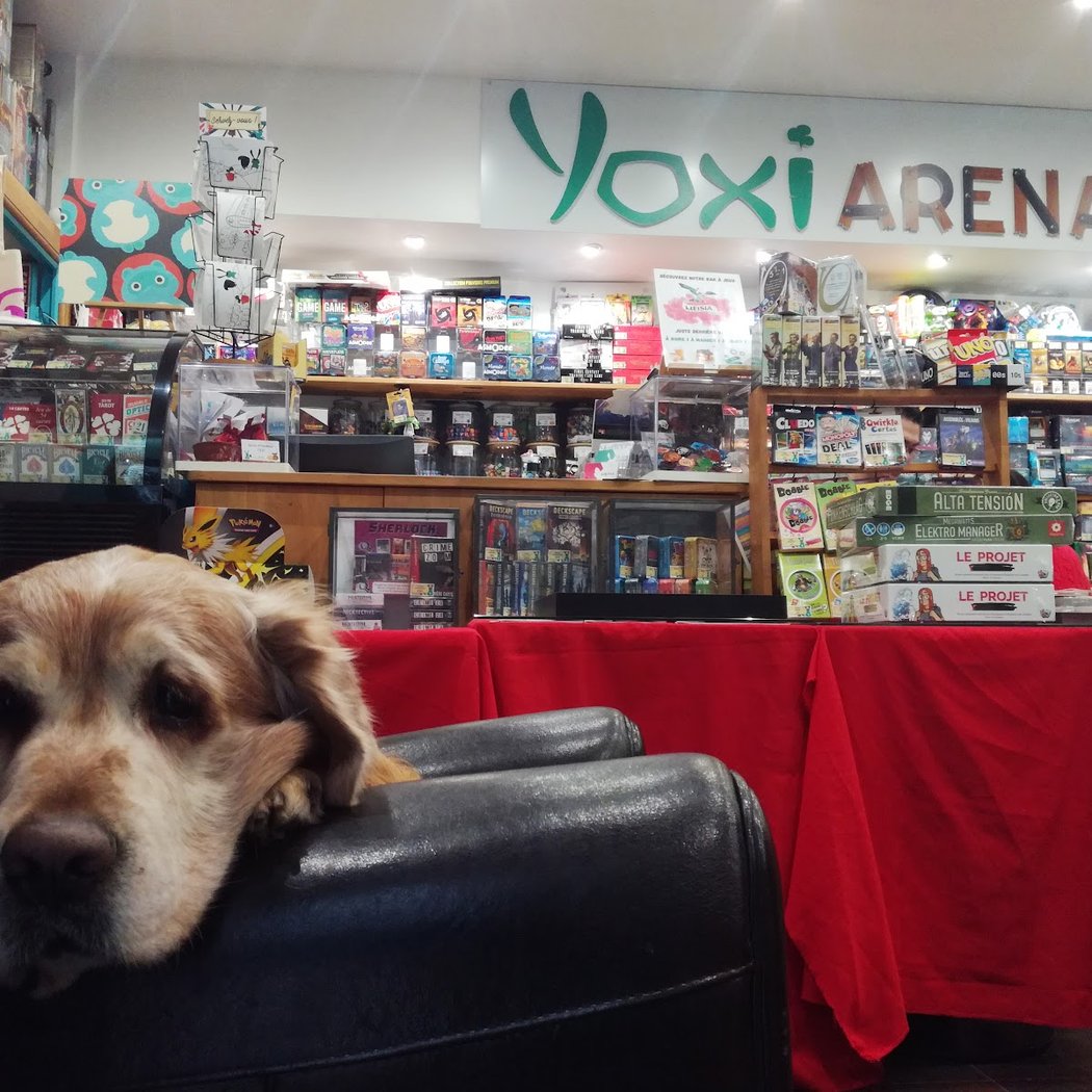 Yoxi Arena : Boutique de jeux de société 1