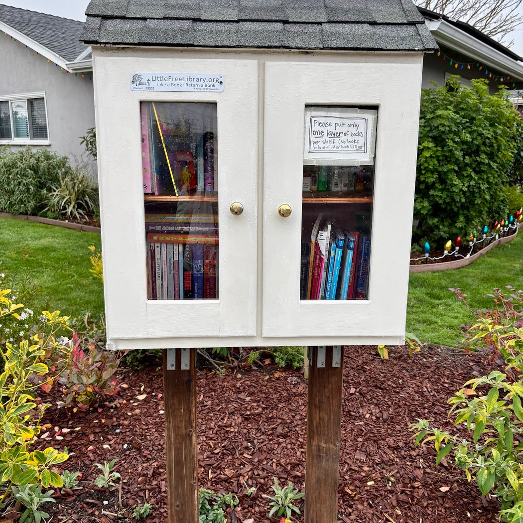 Mountain View Ave Little Free Library 2