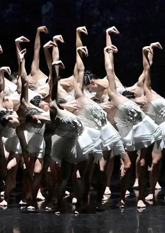 Ballet Preljocal : Le Lac des cygnes 1