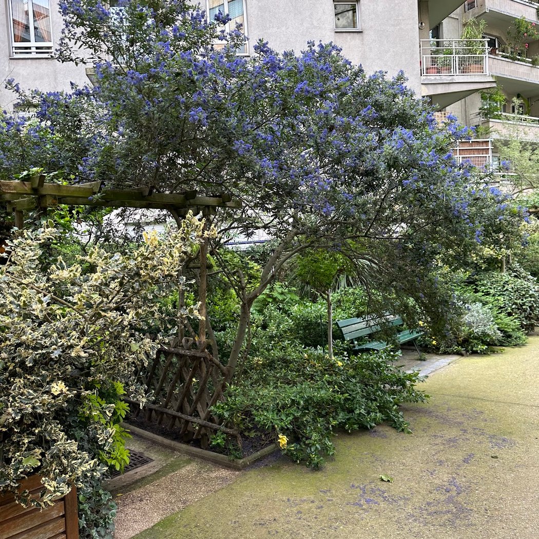 Jardin Michelet 1