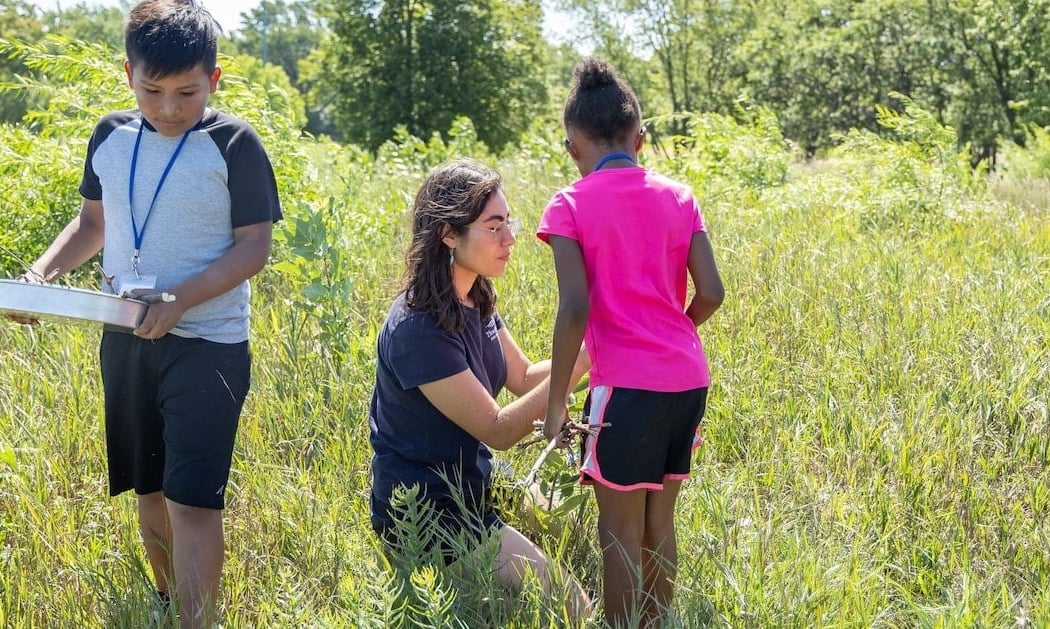 Drop-In Discoveries: Prairie Insects 2