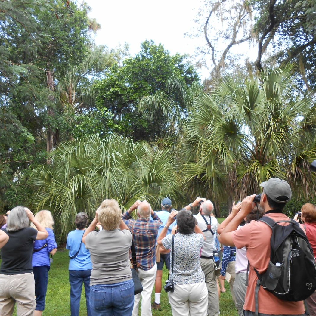 OAS Birding 3