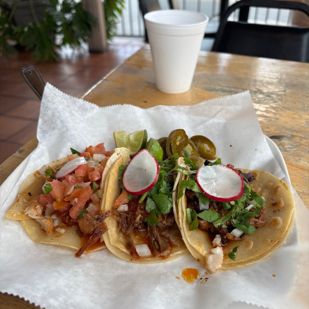 Tannya's Taqueria 1