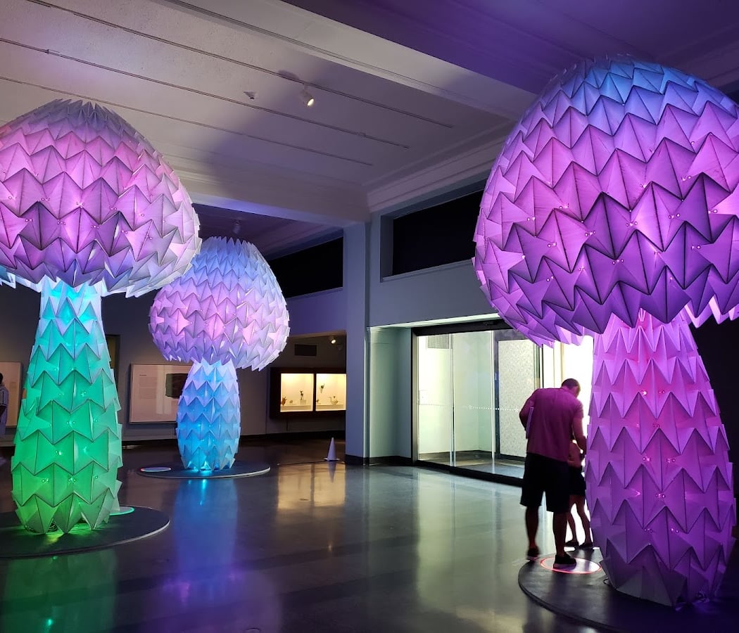 Cincinnati Art Museum 2