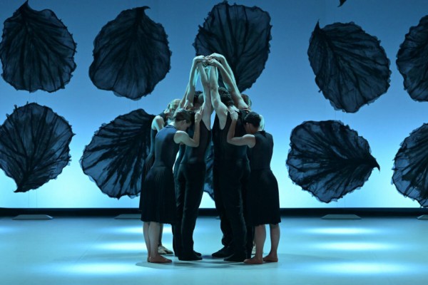 Malandain Ballet Biarritz : Les Saisons 2