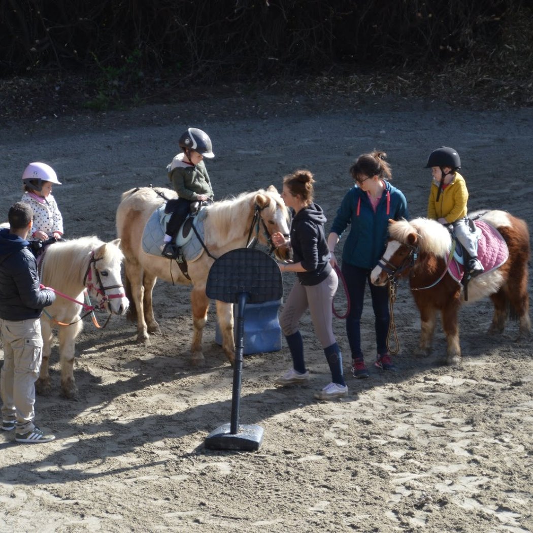 Poney-club Ponix 3