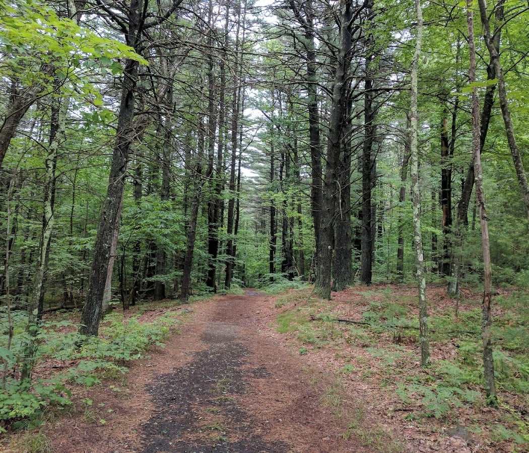 Blue Hills Trailside Museum 3