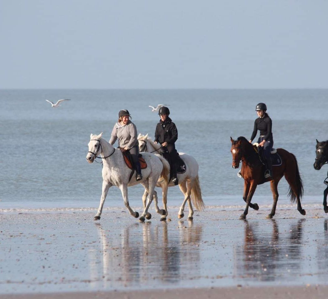 Cours d’équitation et stage d’équitation 1