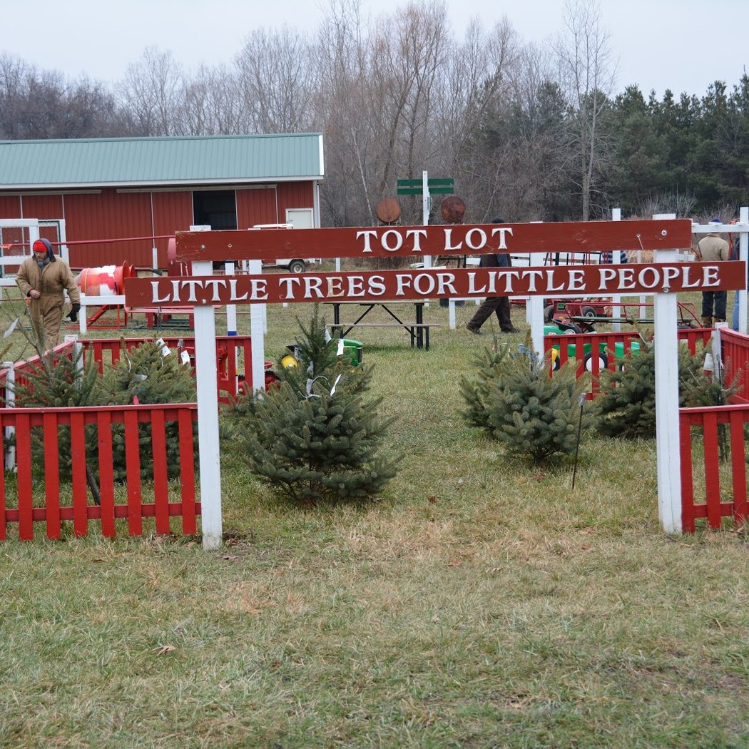Hillside Christmas Tree Farm 2