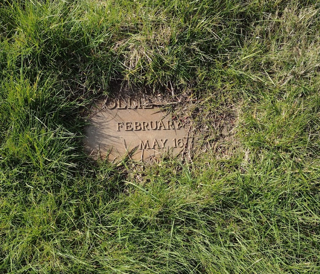 Sebastopol Memorial Lawn Inc 2