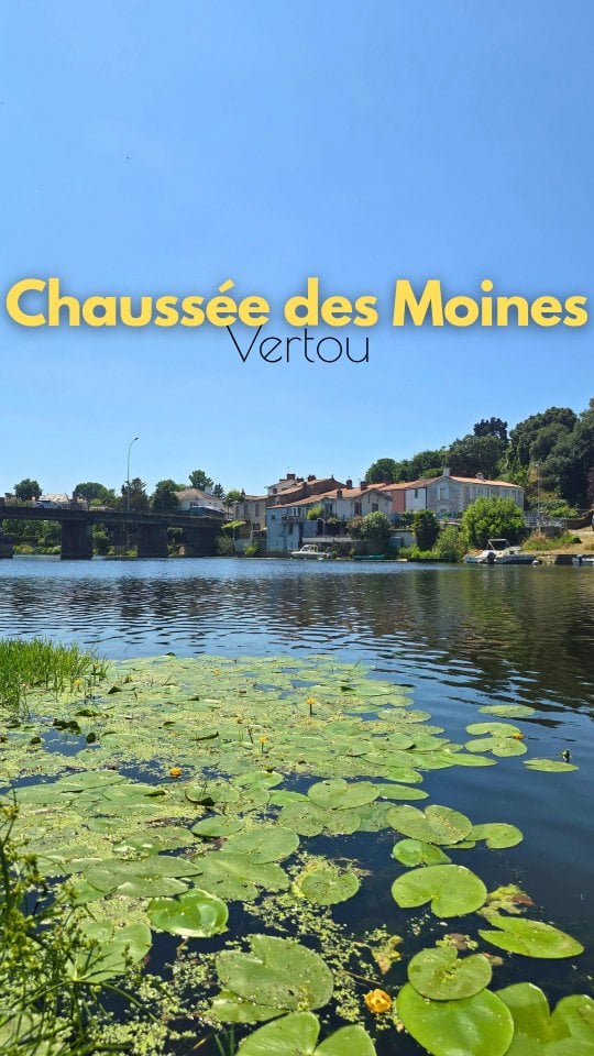 Chaussée des Moines 1