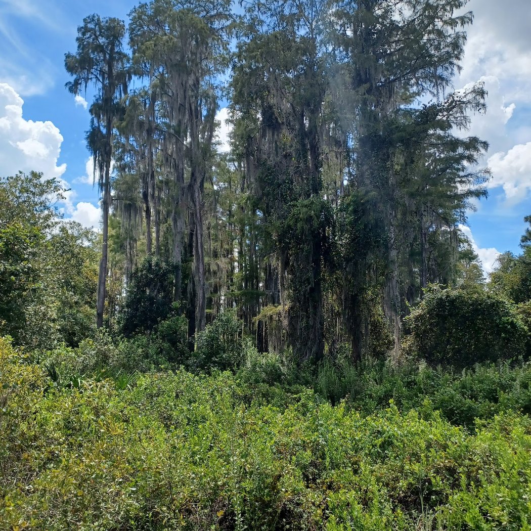 Conner Preserve 3