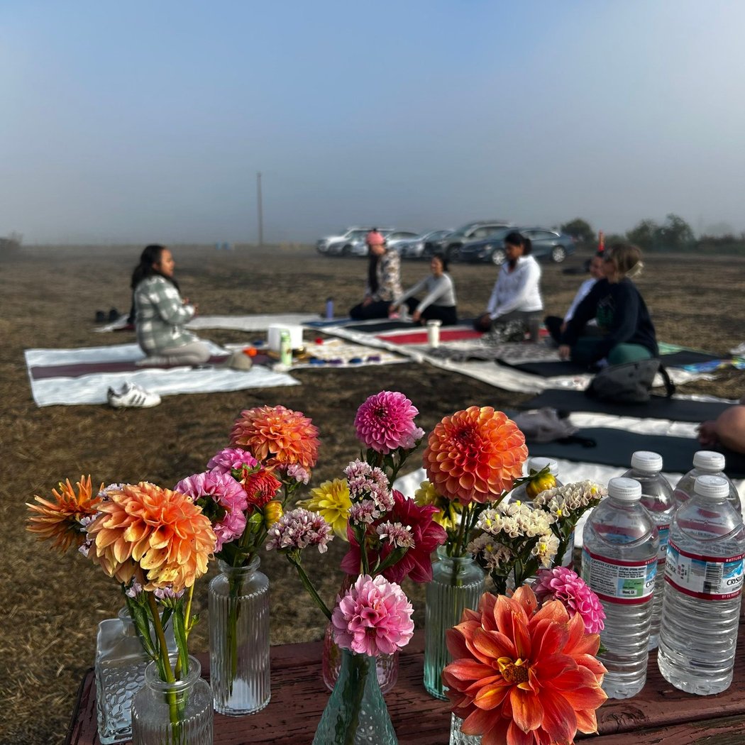 Yoga & U-Pick Offering at the Farm 5