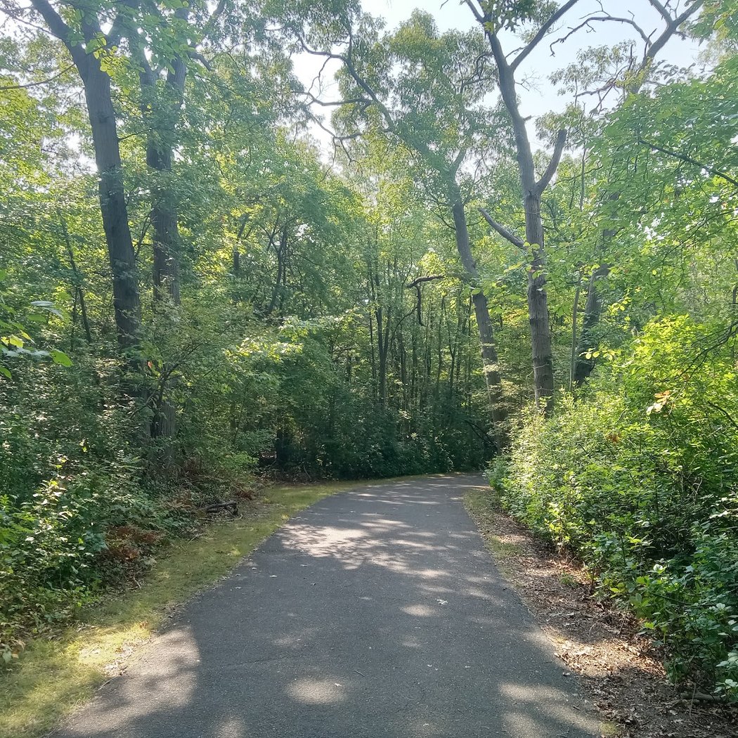 Nassau-Suffolk Greenbelt Trail 3