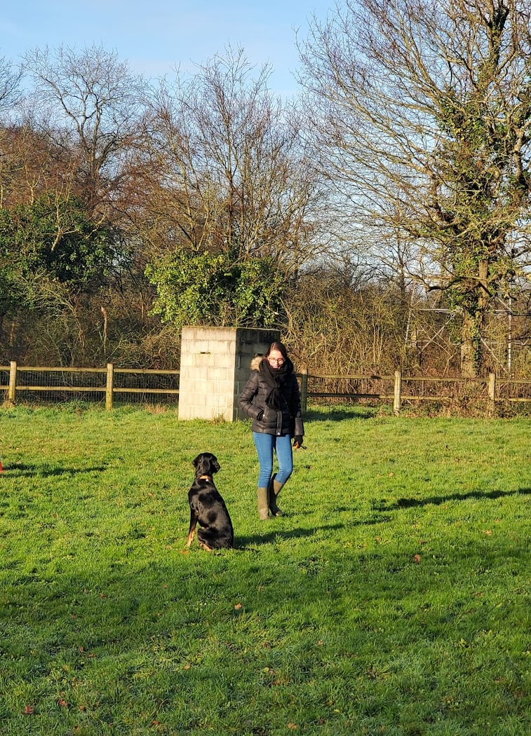 Kennel Club of Basse Goulaine 2