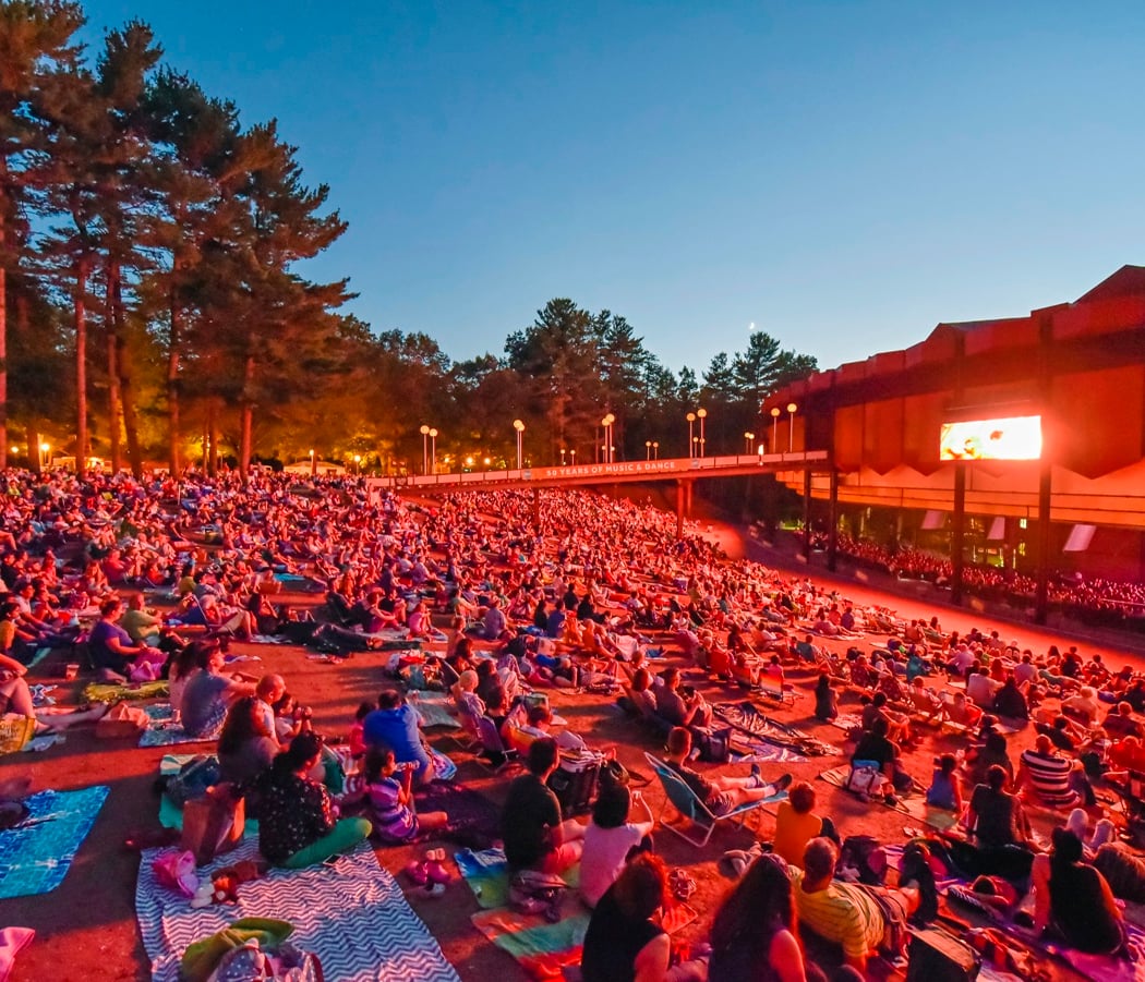 Live Performances at SPAC 3