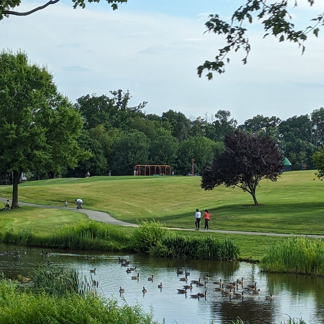 Bohrer Park 3