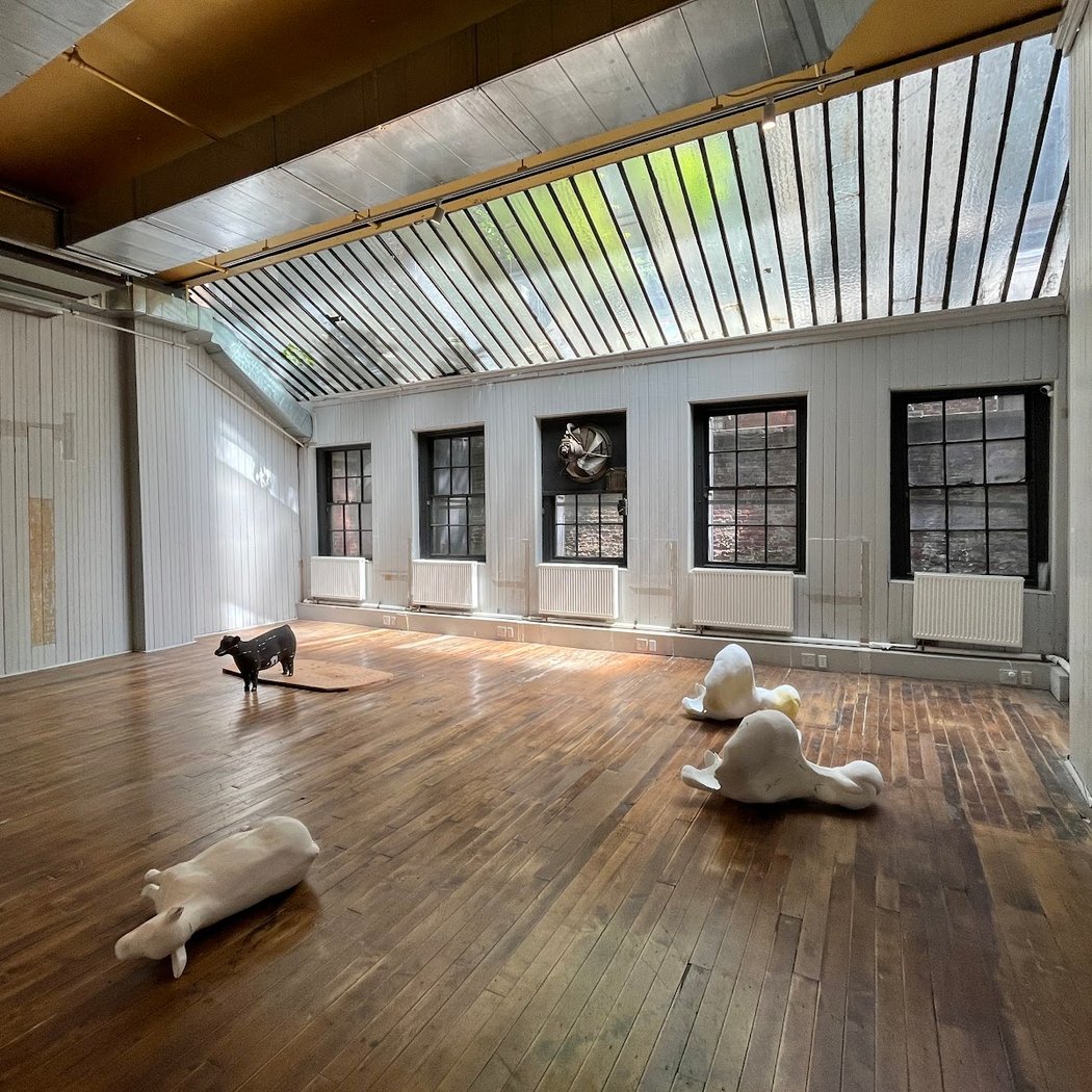 YveYANG Gallery 3