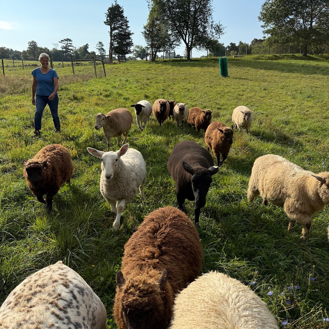 Sensory-Friendly Open Barnyard 4