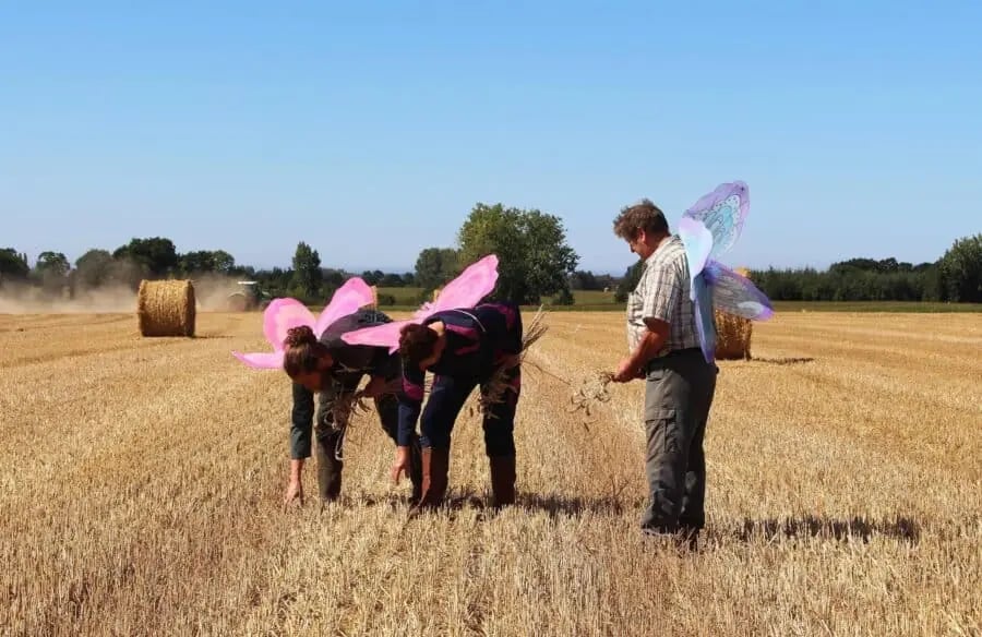 Rural Gaze #3 - Rencontres et projections