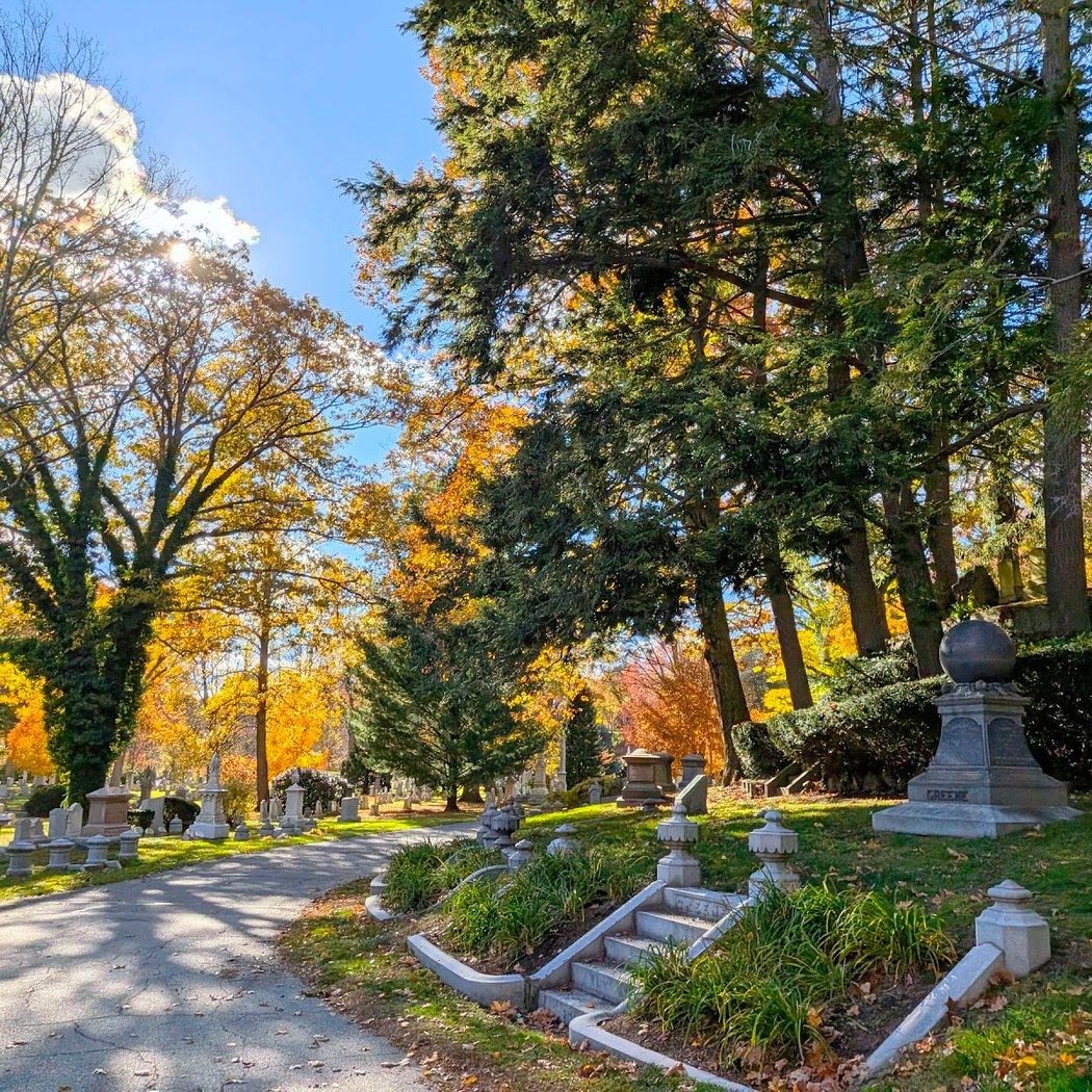 Nature Exploration at Forest Hills Cemetery