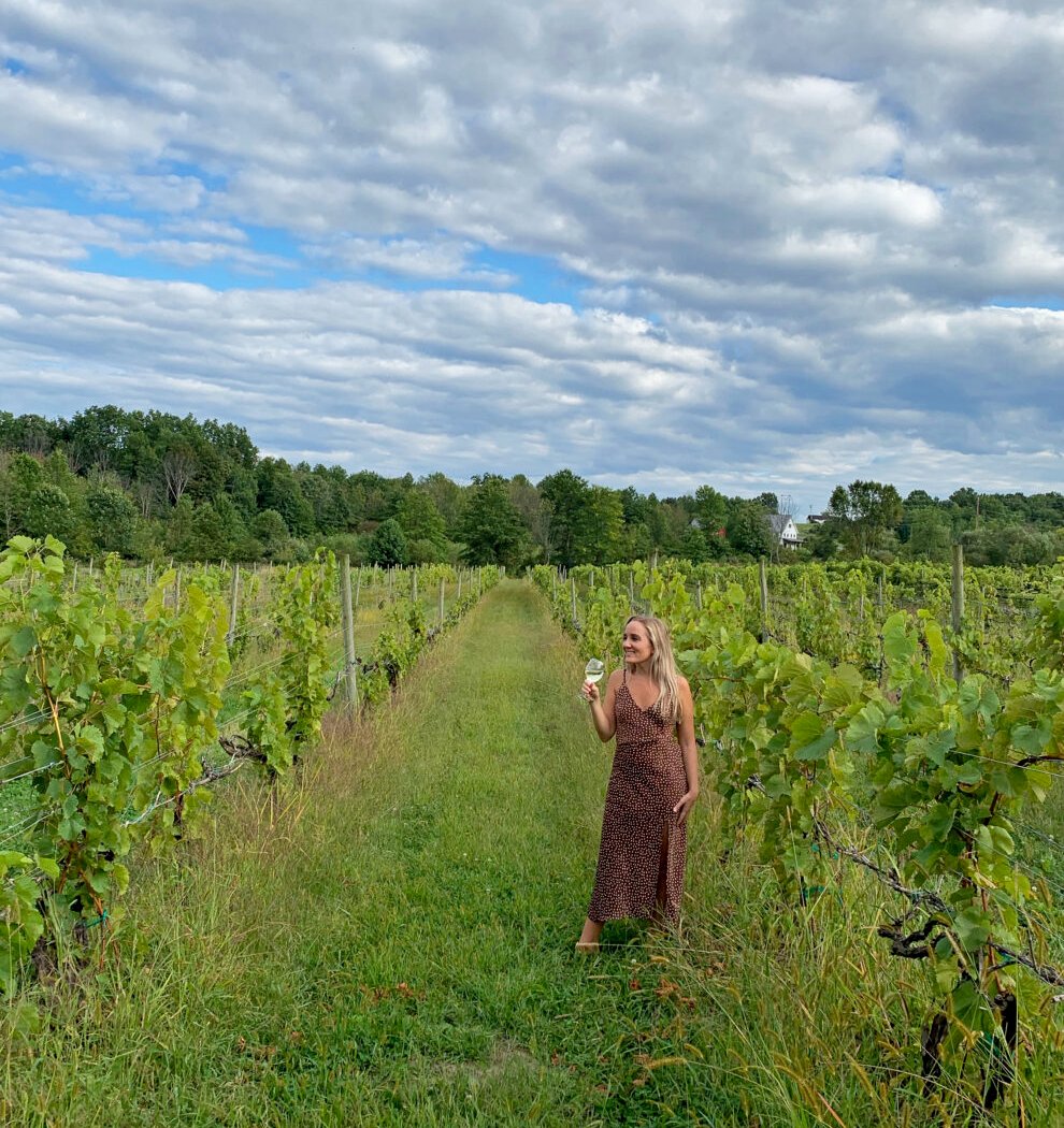 Whitecliff Vineyard & Winery 2