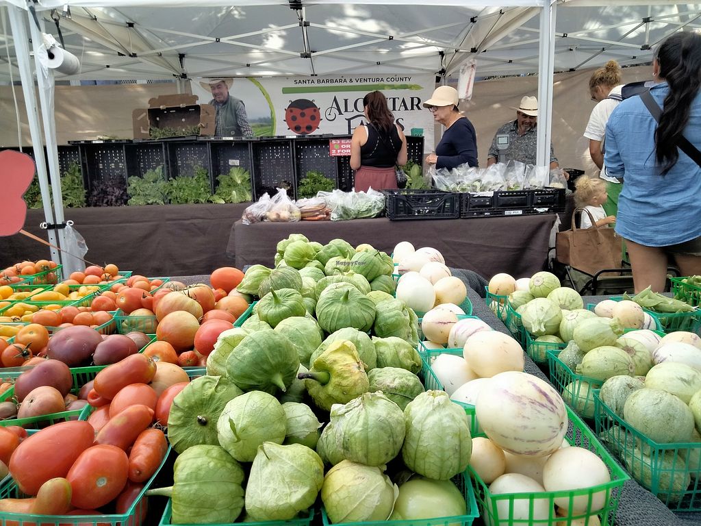 Melrose Farmers Market Sunday Market 1