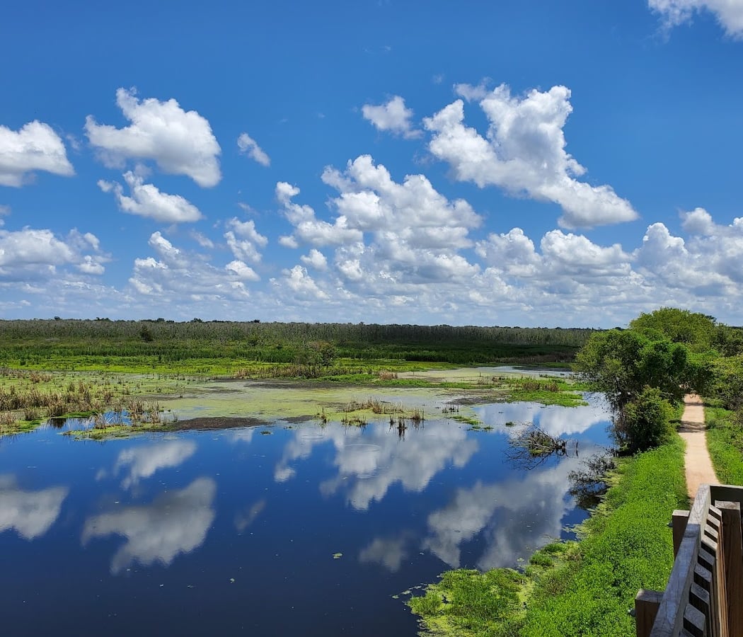 Brazos Bend State Park 1
