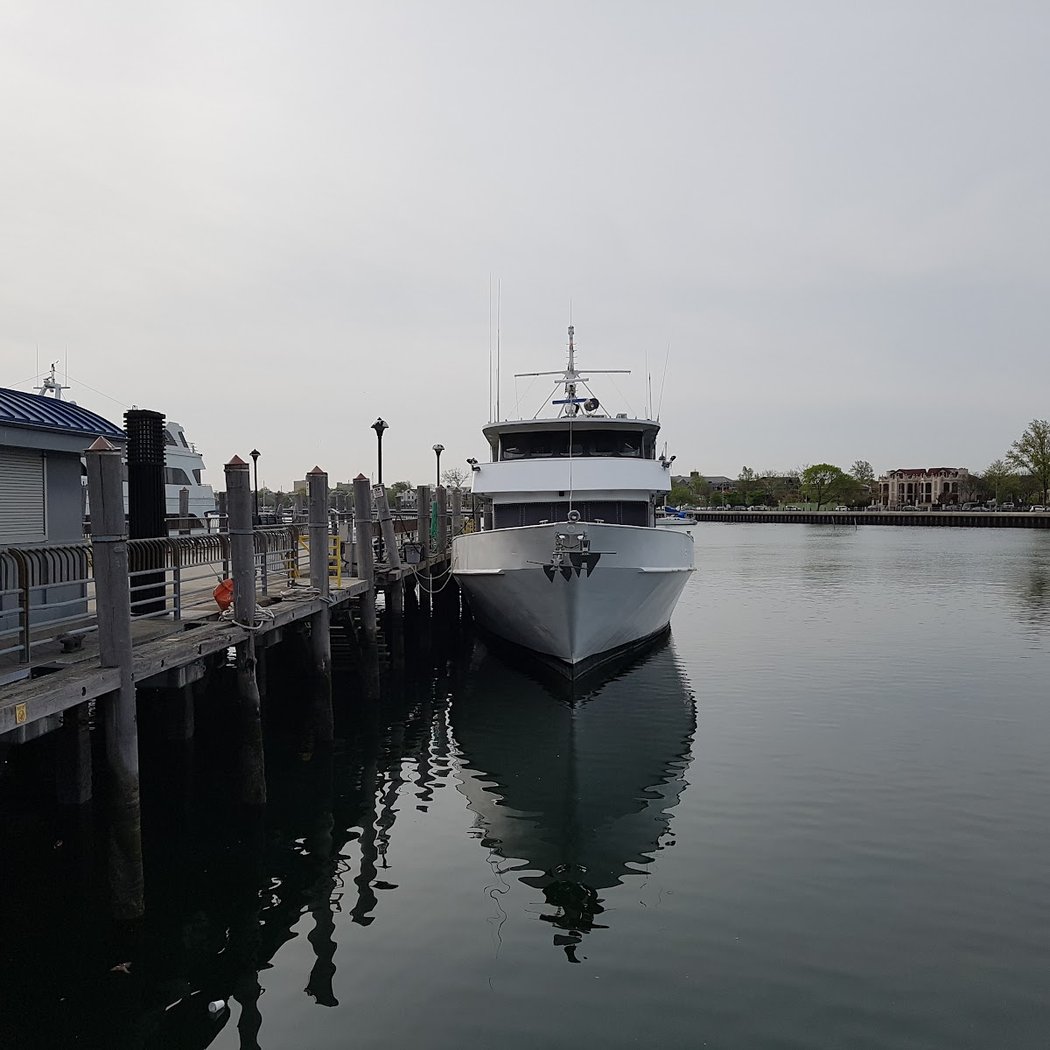 Whale Watching & Dolphin Adventure Cruises 3
