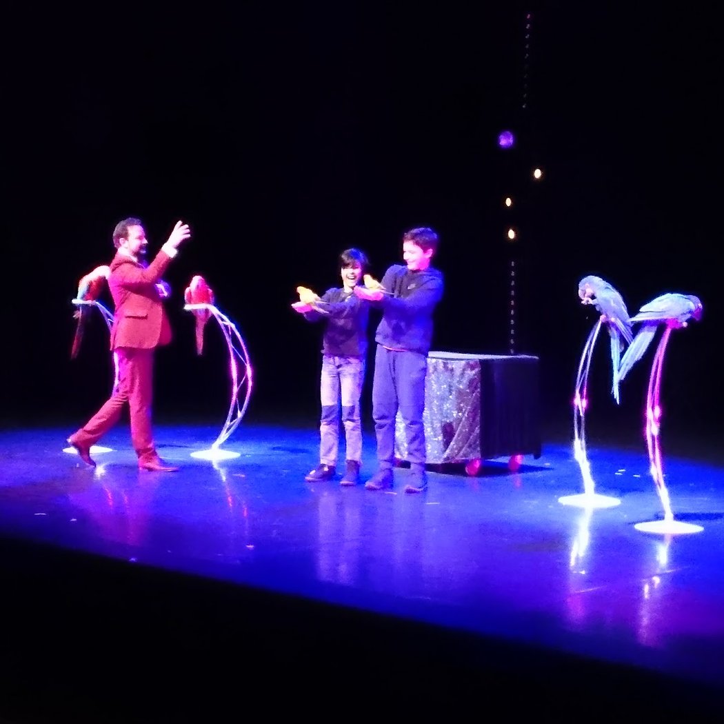 Présentation de la saison 2025/26 du théâtre et Bal du Grand POP 4