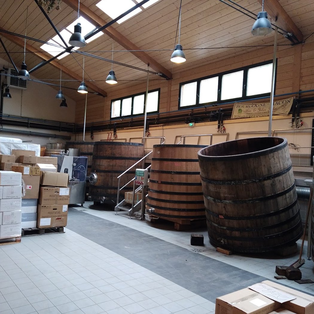 Dégustation de vins bios et locaux avec Julien Guillot 3