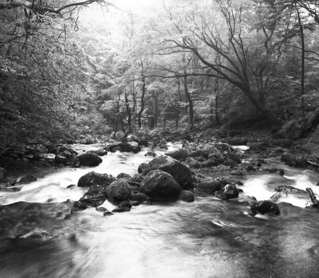 TOUCH NATURE 1