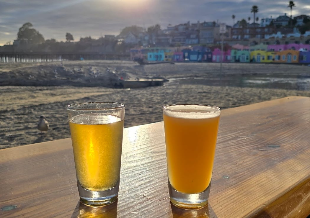 Zelda's on the beach 1