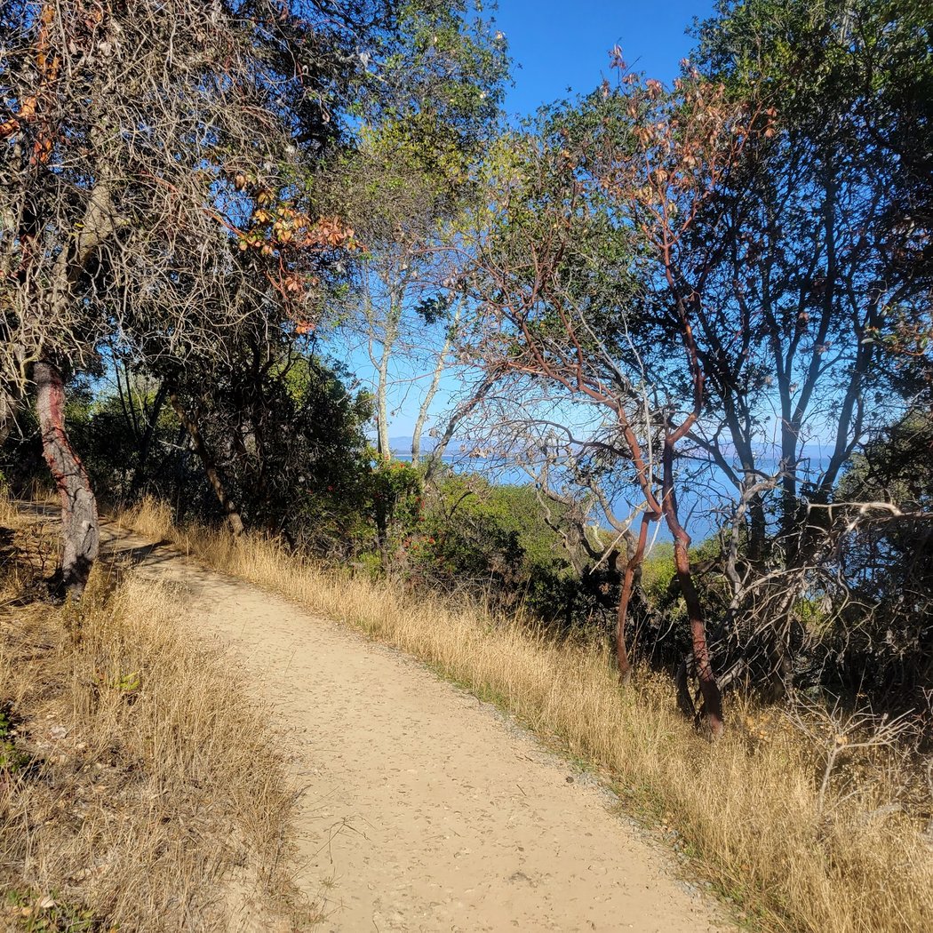 Peacock Gap Trl 1