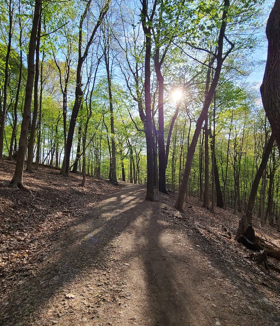 Frick Environmental Center 3