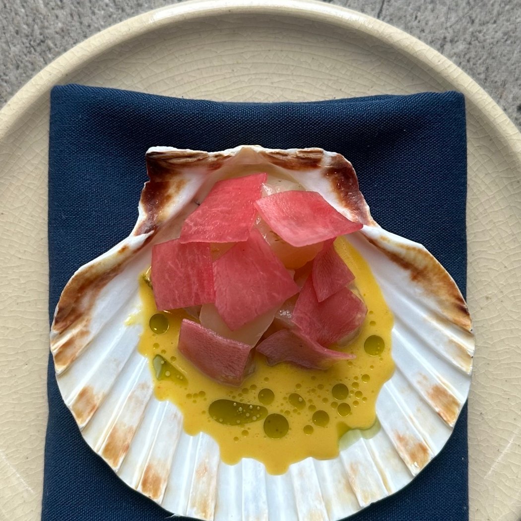 Palma 1
