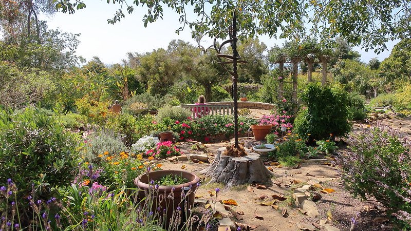 San Diego Botanic Garden 3