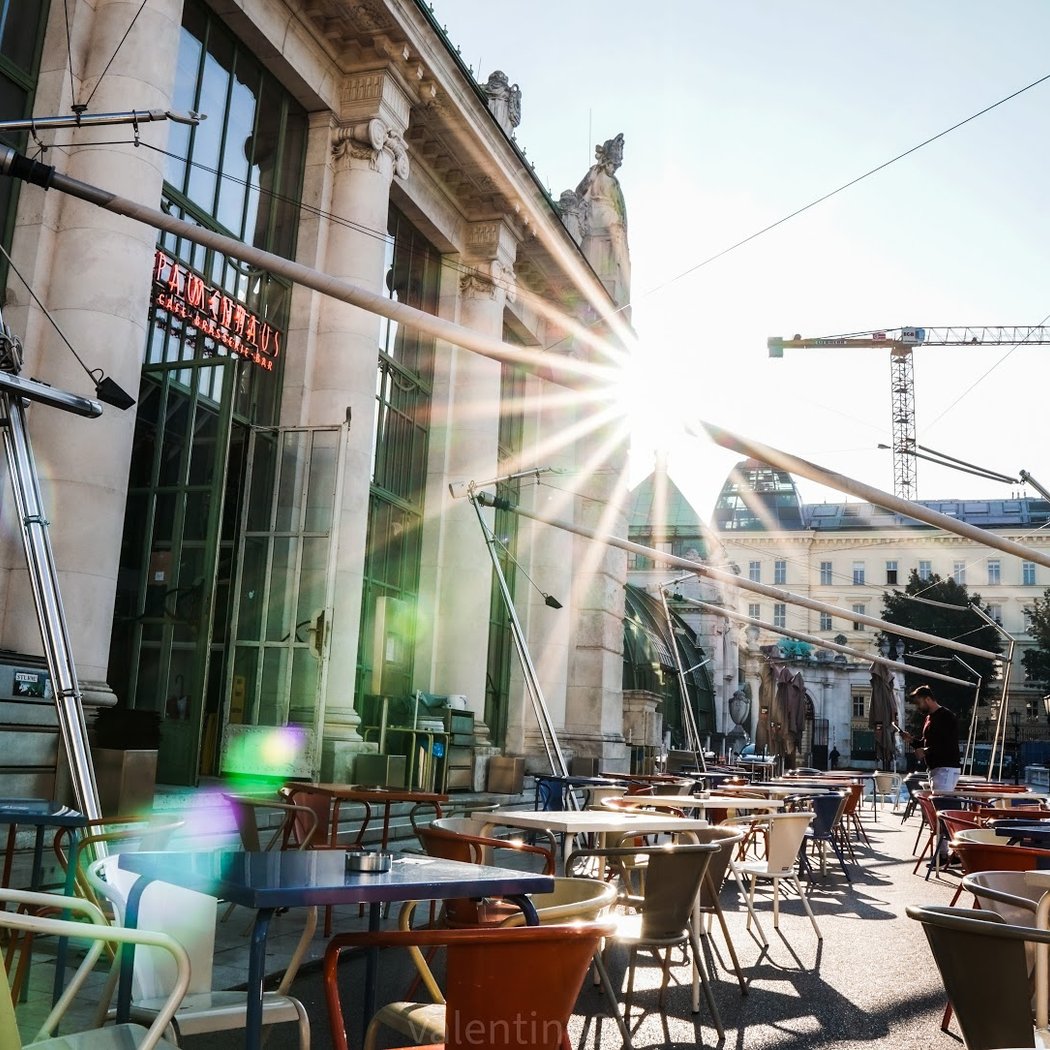 Brasserie Palmenhaus Wien 2