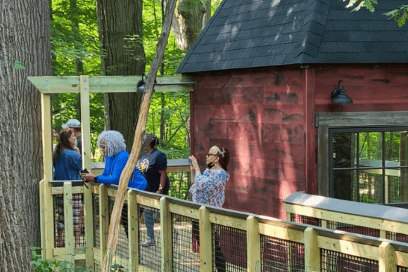 Guided Bird Walks 2