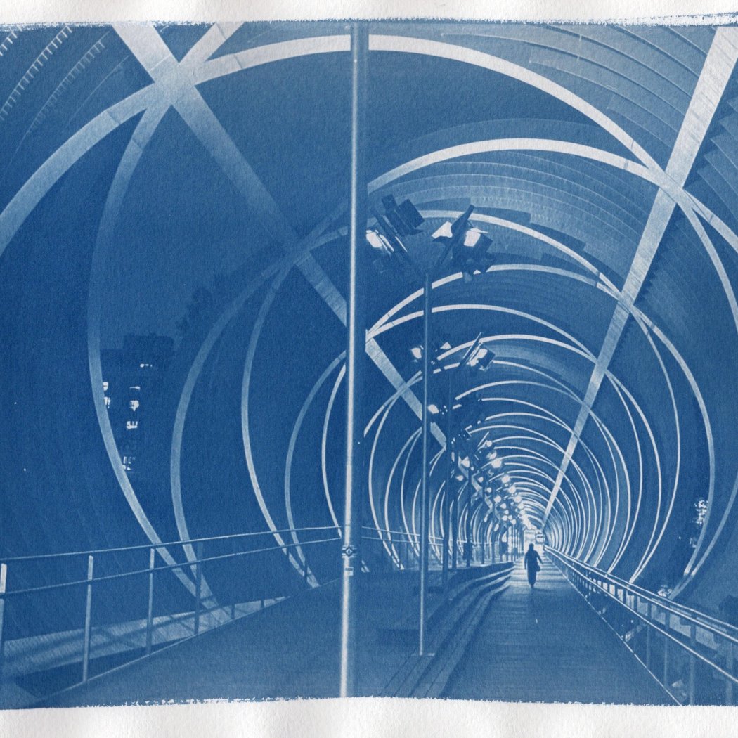 Cyanotype Printing – Create with the Power of the Sun 1