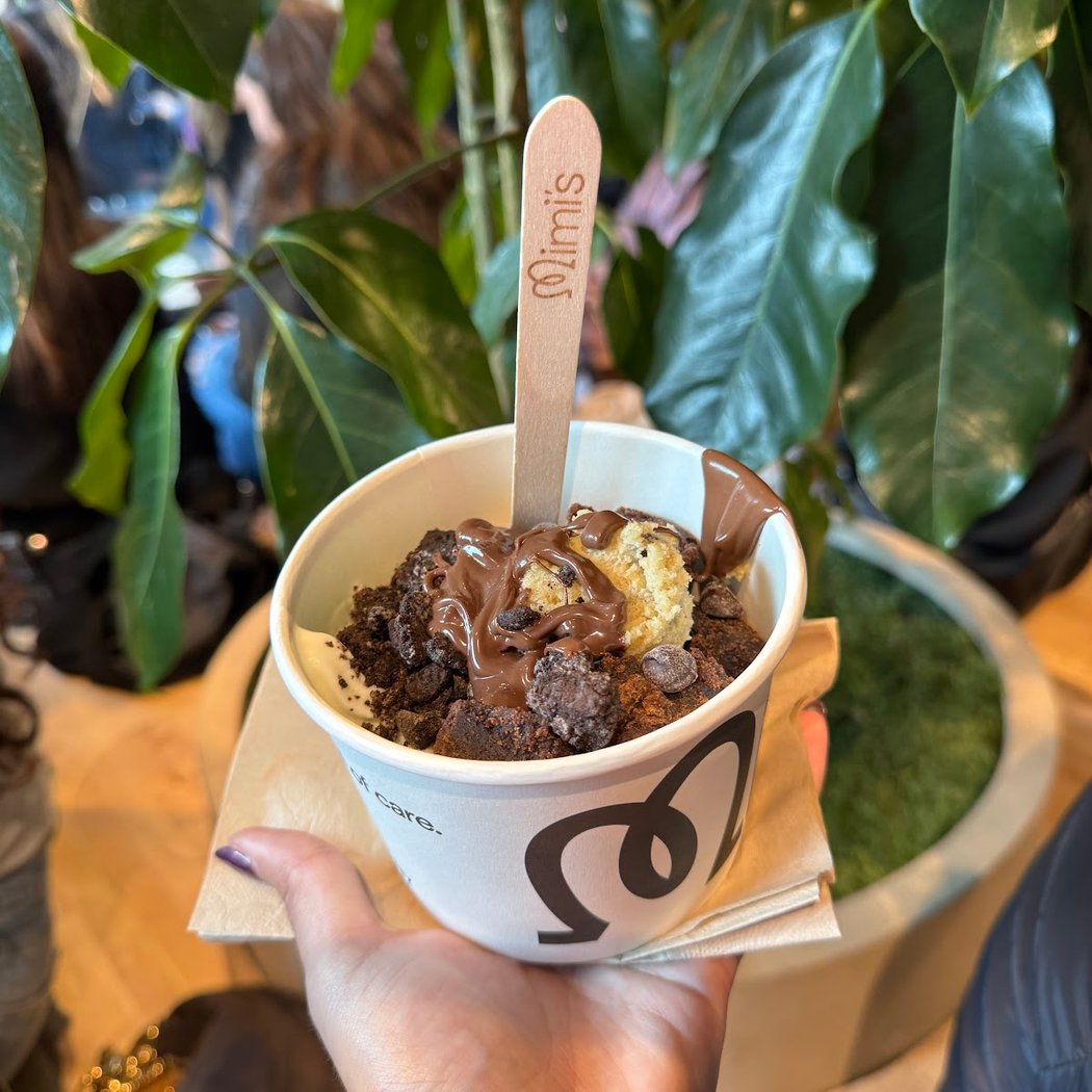 Mimi's Frozen Yogurt 3