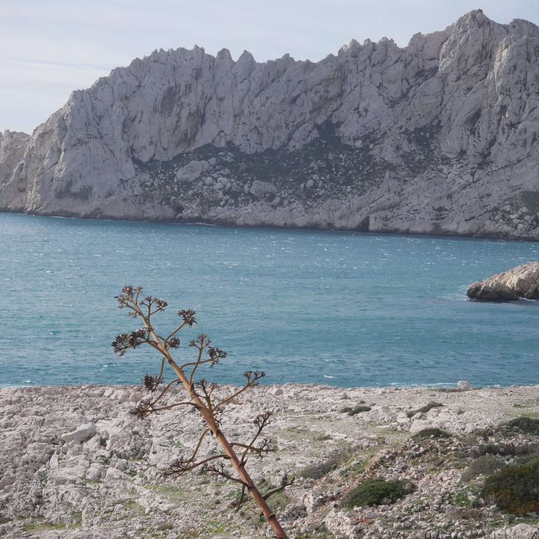 Opération de dépollution avec Clean My Calanques 3